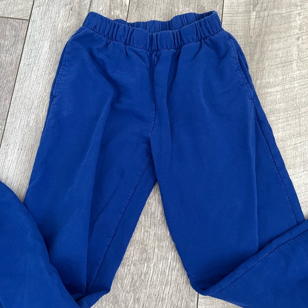 Brandy melville John Galt royal blue sweatpants
